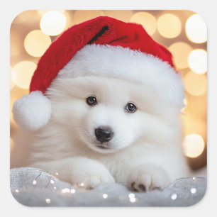 Adesivo Quadrado Feliz Natal Samoyed Puppy Dog com Papai Noel