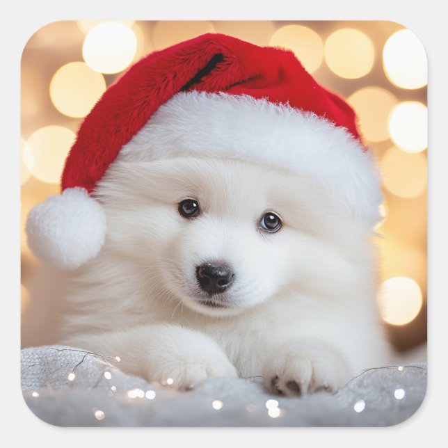 Adesivo Quadrado Feliz Natal Samoyed Puppy Dog com Papai Noel (Frente)