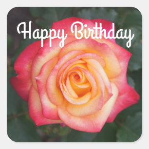 Adesivo Quadrado Feliz Sonho de Aniversário Vem Rosa de Verdade