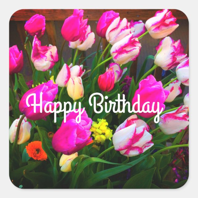 Adesivo Quadrado Feliz Sonho de Natal de Aniversário e Affaire #1-1 (Frente)