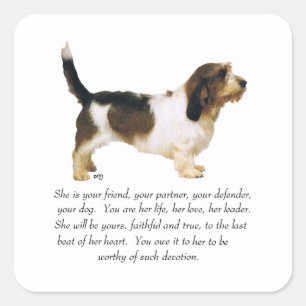 Adesivo Quadrado Fêmea Petit Basset Griffon Vendeen