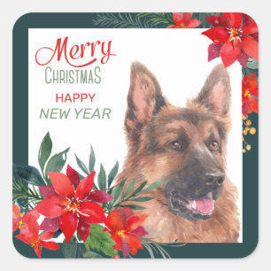 Adesivo Quadrado Feriado de Poinsettia de Cão german shepherd