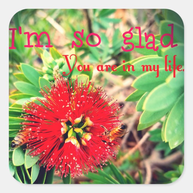 Adesivo Quadrado Fico feliz que esteja na minha vida (Frente)