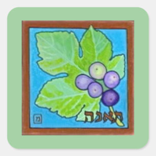 Adesivo Quadrado Figo, uma das sete frutas de Israel