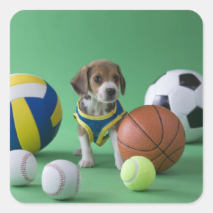 Adesivo Quadrado Filhote de cachorro cercado por bolas do esporte