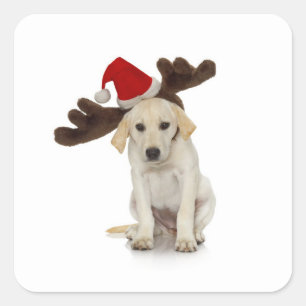 Adesivo Quadrado Filhote de cachorro com papai noel chapéu e