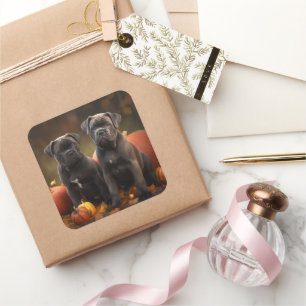 Adesivo Quadrado Filhote de Cane Corso Delícia de Outono Abóbora
