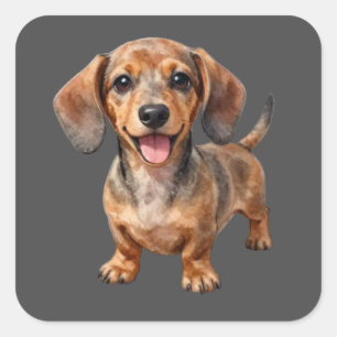 Adesivo Quadrado Filhote feliz de Dachshund