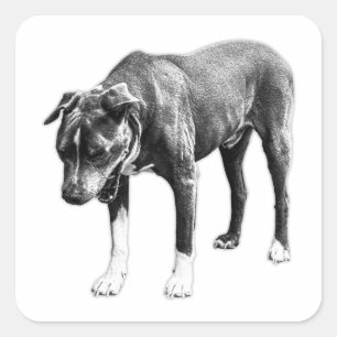 Adesivo Quadrado Filtro Zero - Cabeça-Sobre-Cão