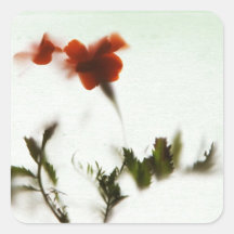 Finalmente primavera!