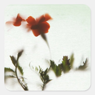 Adesivo Quadrado Finalmente primavera!