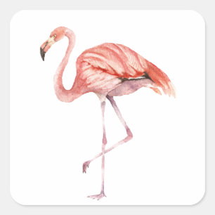 Adesivo Quadrado Flamingo cor-de-rosa