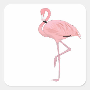Adesivo Quadrado Flamingo Cor-De-Rosa Pendente Uma Perna