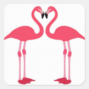 Adesivo Quadrado flamingo-pássaro-amor