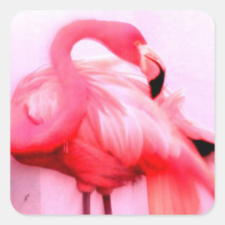 Adesivo Quadrado Flamingo Rosa