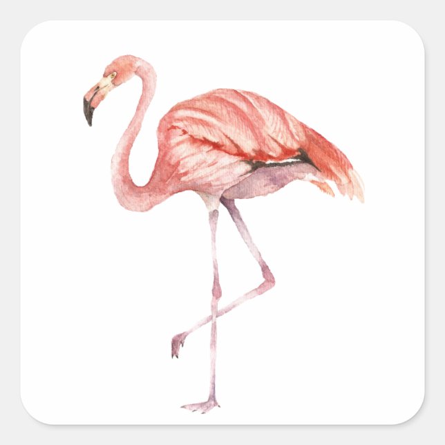 Adesivo Quadrado Flamingo Rosa (Frente)