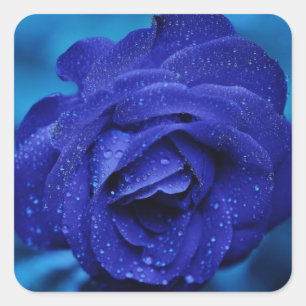 Adesivo Quadrado Flor Azul Rosa - Casamento