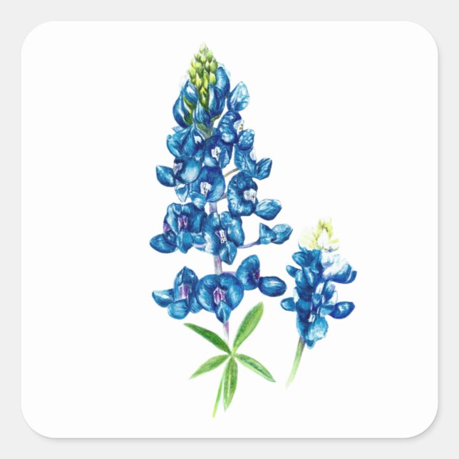 Adesivo Quadrado Flor Bluebonnet (Frente)