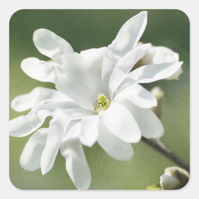 Adesivo Quadrado Flor Branca (Frente)