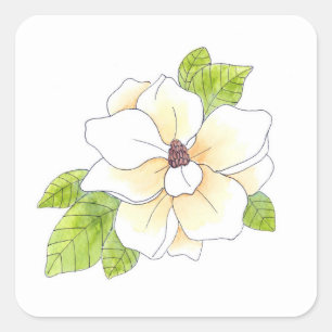 Adesivo Quadrado Flor da magnólia da aguarela e da caneta