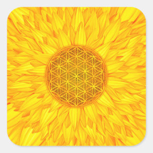 Adesivo Quadrado Flor da vida - girassol #3