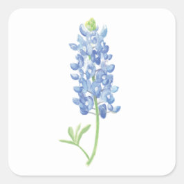 Adesivo Quadrado Flor de Bluebonnet com Aquarela