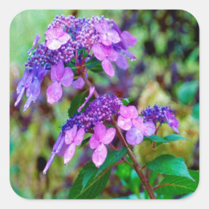 Adesivo Quadrado Flor de Hydrangea Roxo