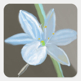 Adesivo Quadrado Flor de Planta Tirada