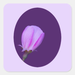 Adesivo Quadrado Flor de Primavera rosa e púrpura