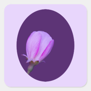 Adesivo Quadrado Flor de Primavera rosa e púrpura