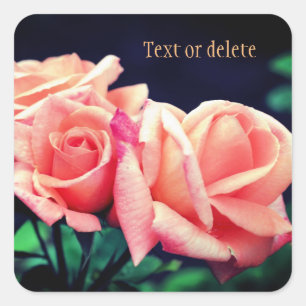 Adesivo Quadrado Flor de Rosa de Pêssego Personalizado