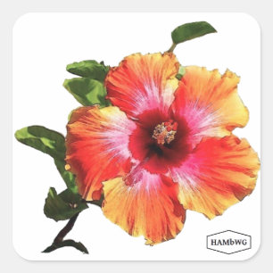 Adesivo Quadrado Flor HAMbWG Hibiscus
