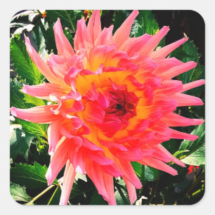 Adesivo Quadrado Flor rosa e amarela