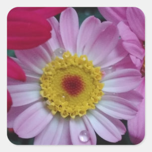 Adesivo Quadrado Flor rosa e amarela