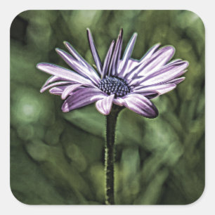 Adesivo Quadrado Flor roxa que está apenas