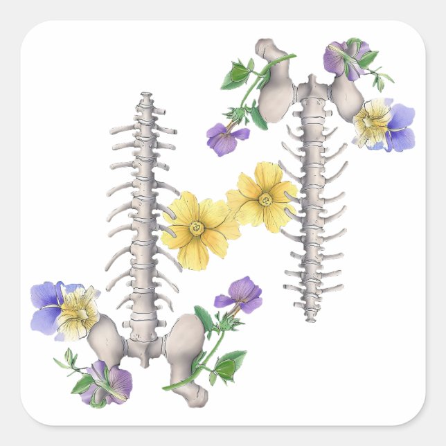 Adesivo Quadrado Floral Anatomy - Vertebrae, Hip Bone (Frente)