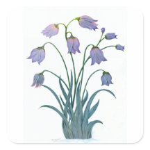 FLORES bonito NO SQUARE STICKER