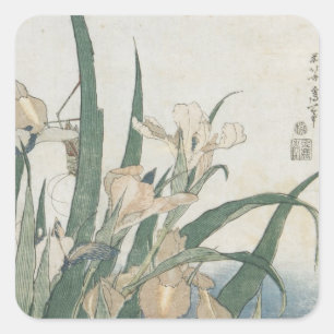 Adesivo Quadrado Flores da íris e gafanhoto, c.1830-31