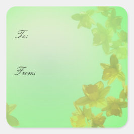 Adesivo Quadrado Flores daffodianas amarelas bengalas de presentes 