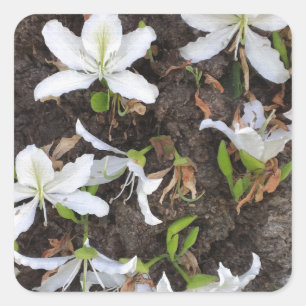 Adesivo Quadrado Flores de árvore