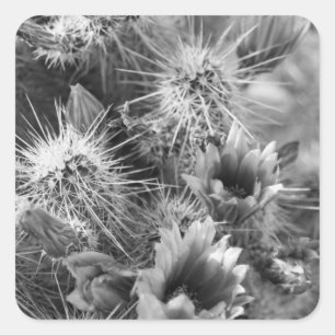 Adesivo Quadrado Flores de Cactus com Autocolantes Decaleiros Perso