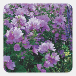 Adesivo Quadrado Flores de hiscus púrpura