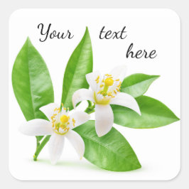 Adesivo Quadrado Flores de laranja