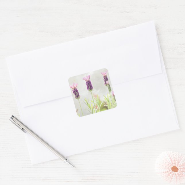 Adesivo Quadrado Flores de lavanda (Envelope)