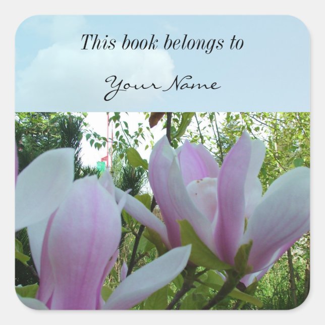 Adesivo Quadrado Flores de magnólia púrpura primavera (Frente)