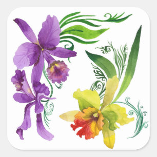 Adesivo Quadrado Flores de Orquídea Púrpura e Amarela Aquarela