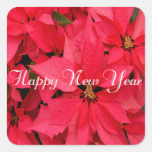 Flores de Poinsettias Vermelhas Feliz ano novo Flo