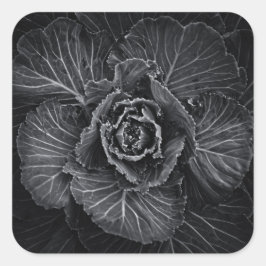 Adesivo Quadrado Flores De Quintal A Preto E Branco No 108