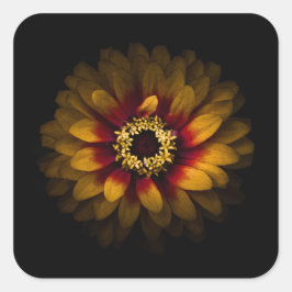 Adesivo Quadrado Flores De Quintal Sem Versão De 69 Cores