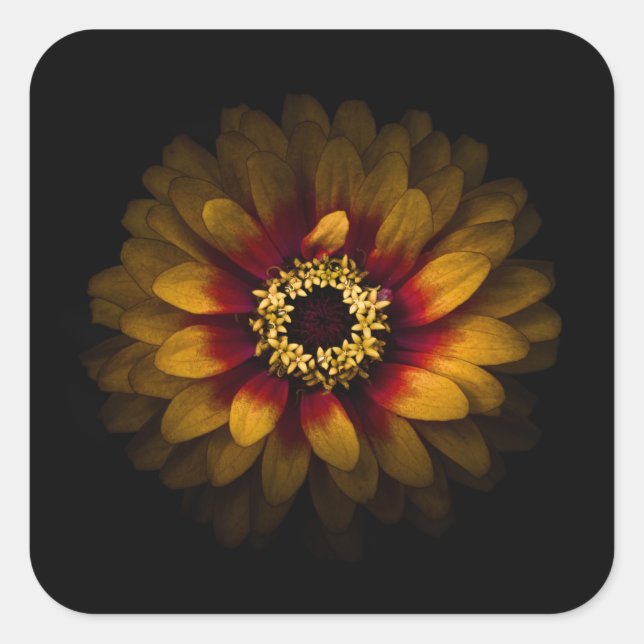 Adesivo Quadrado Flores De Quintal Sem Versão De 69 Cores (Frente)